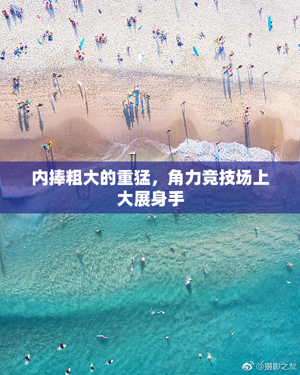 内捧粗大的重猛，角力竞技场上大展身手