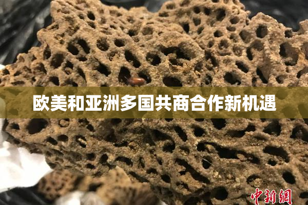 欧美和亚洲多国共商合作新机遇