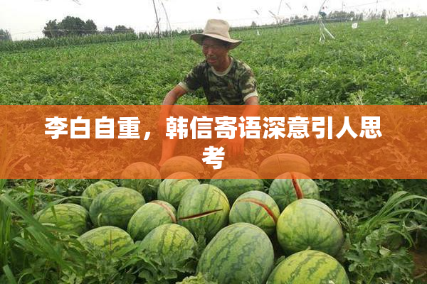李白自重，韩信寄语深意引人思考