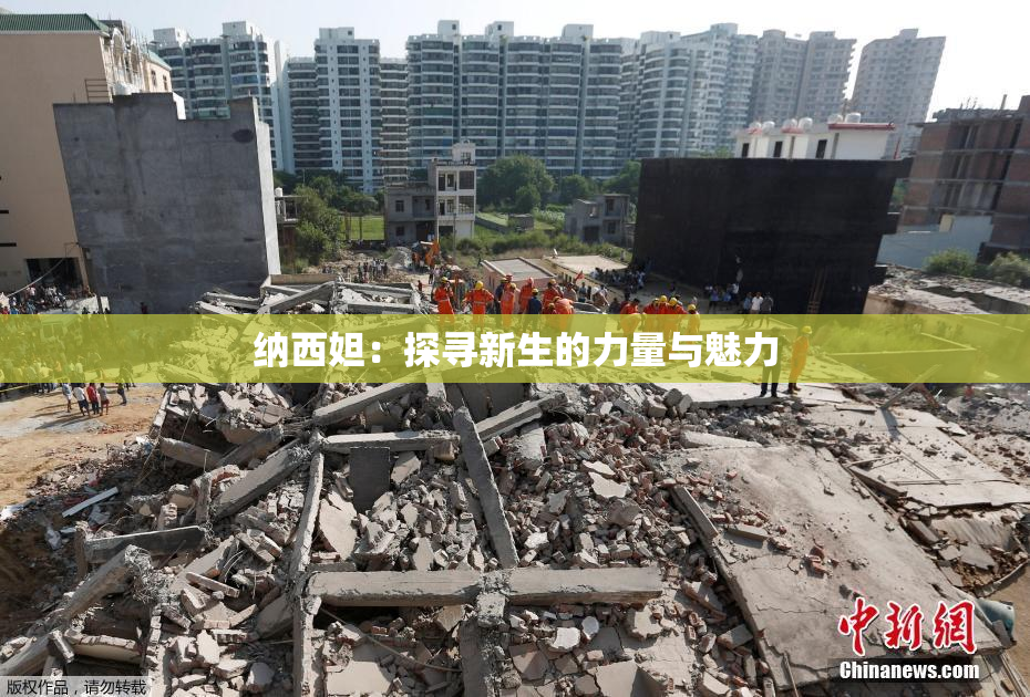纳西妲：探寻新生的力量与魅力