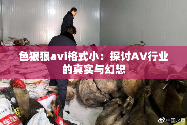 色狠狠avi格式小：探讨AV行业的真实与幻想