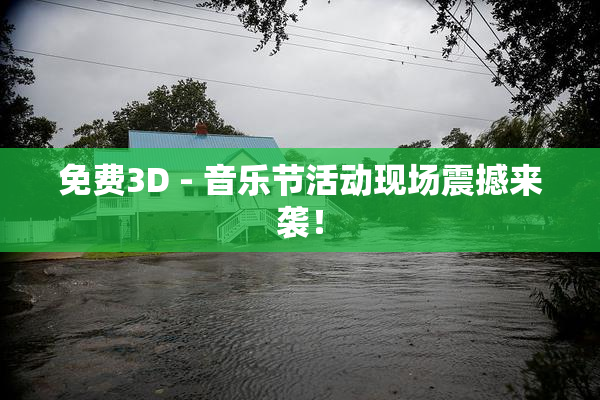 免费3D - 音乐节活动现场震撼来袭！