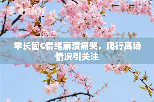 学长因C情绪崩溃痛哭，爬行离场情况引关注