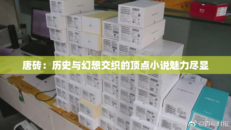 唐砖：历史与幻想交织的顶点小说魅力尽显