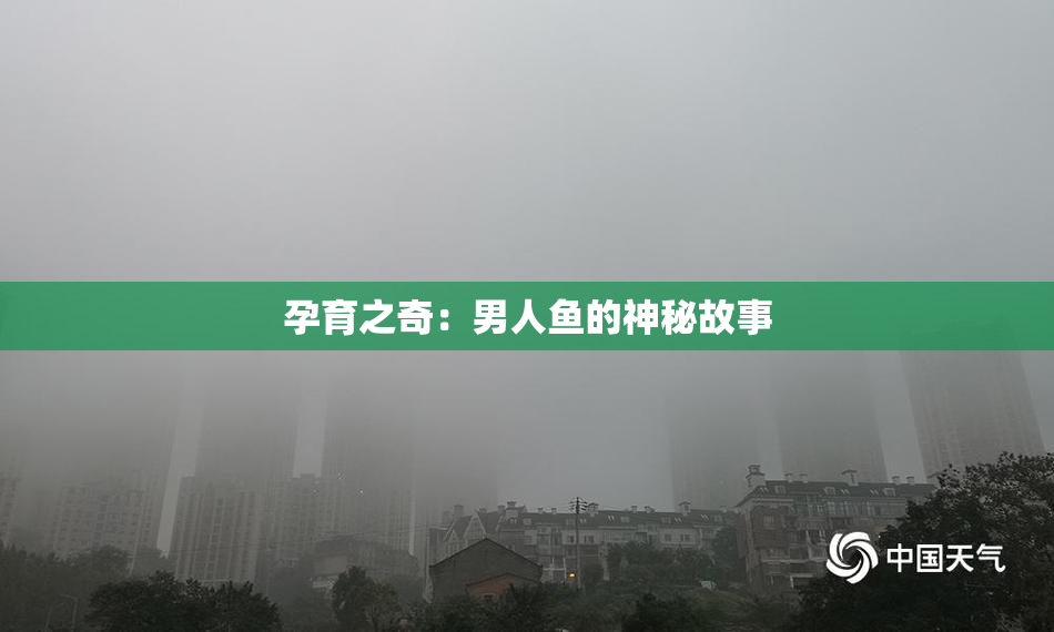 孕育之奇：男人鱼的神秘故事