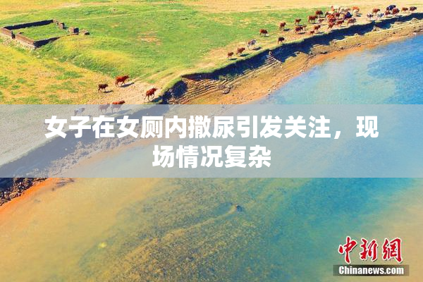 女子在女厕内撒尿引发关注，现场情况复杂