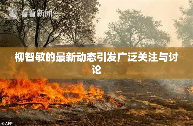 柳智敏的最新动态引发广泛关注与讨论