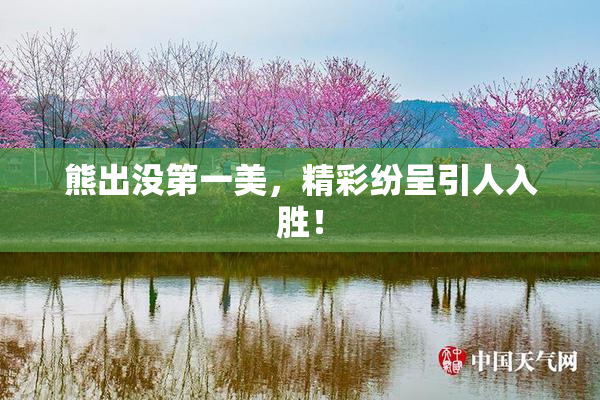 熊出没第一美，精彩纷呈引人入胜！