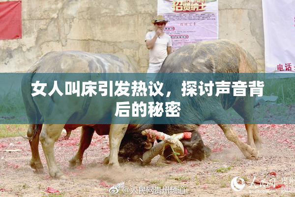女人叫床引发热议，探讨声音背后的秘密