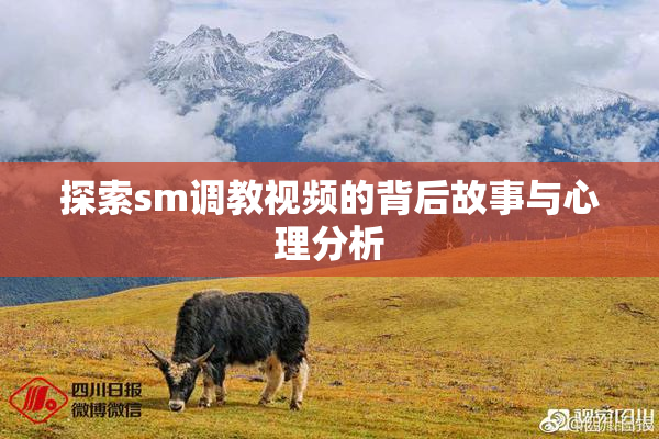 探索sm调教视频的背后故事与心理分析