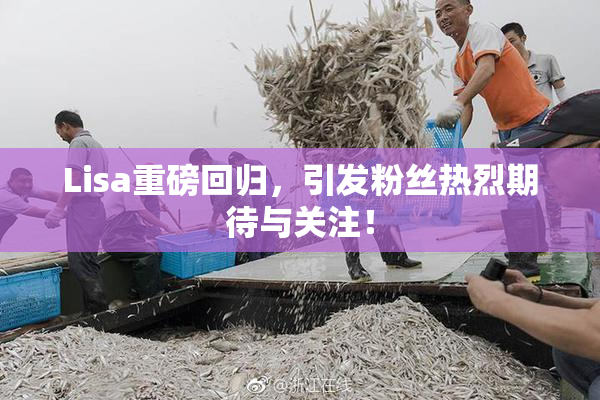 Lisa重磅回归，引发粉丝热烈期待与关注！