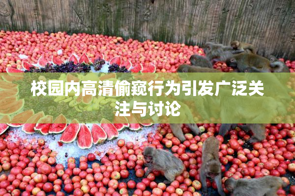 校园内高清偷窥行为引发广泛关注与讨论