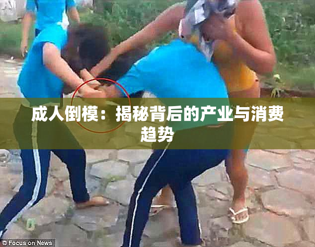 成人倒模：揭秘背后的产业与消费趋势