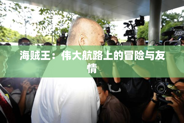 海贼王：伟大航路上的冒险与友情