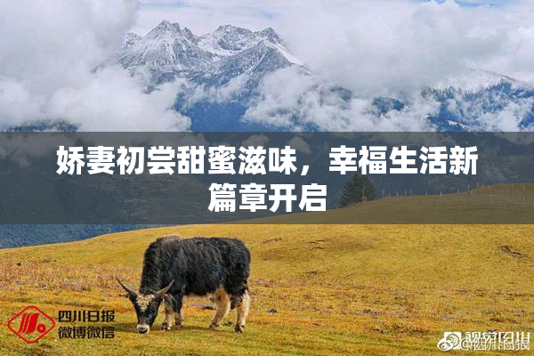 娇妻初尝甜蜜滋味，幸福生活新篇章开启