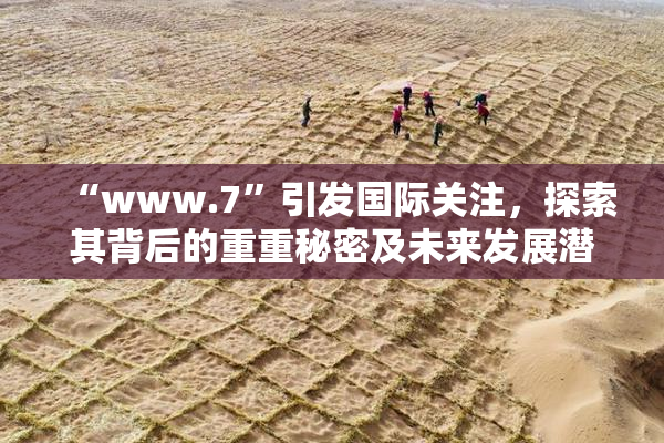 “www.7”引发国际关注，探索其背后的重重秘密及未来发展潜力。