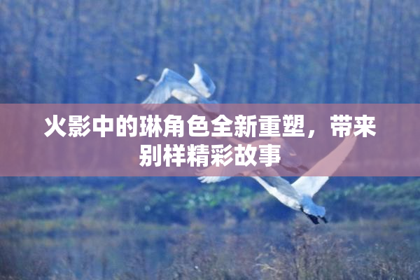 火影中的琳角色全新重塑，带来别样精彩故事