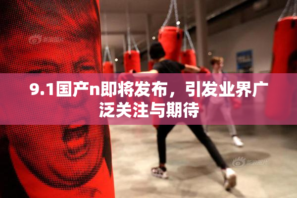 9.1国产n即将发布，引发业界广泛关注与期待