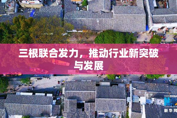 三根联合发力，推动行业新突破与发展