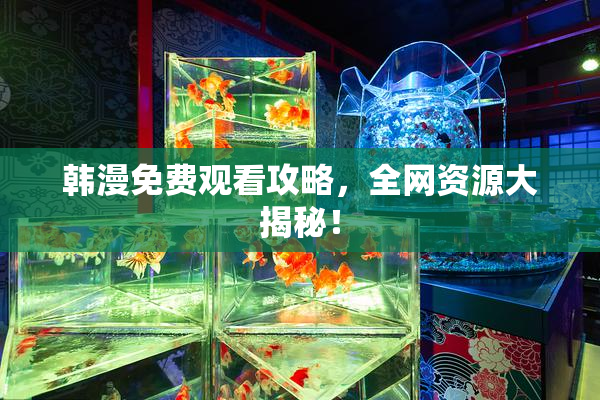 韩漫免费观看攻略，全网资源大揭秘！