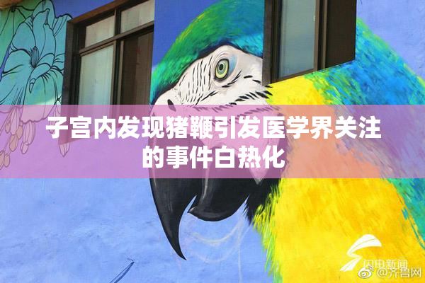 子宫内发现猪鞭引发医学界关注的事件白热化