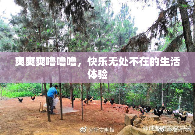 爽爽爽噜噜噜，快乐无处不在的生活体验