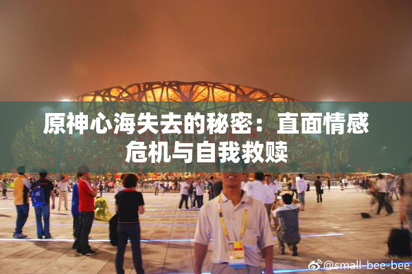 原神心海失去的秘密：直面情感危机与自我救赎