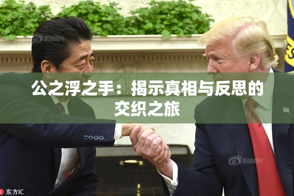 公之浮之手：揭示真相与反思的交织之旅