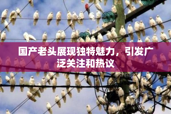 国产老头展现独特魅力，引发广泛关注和热议