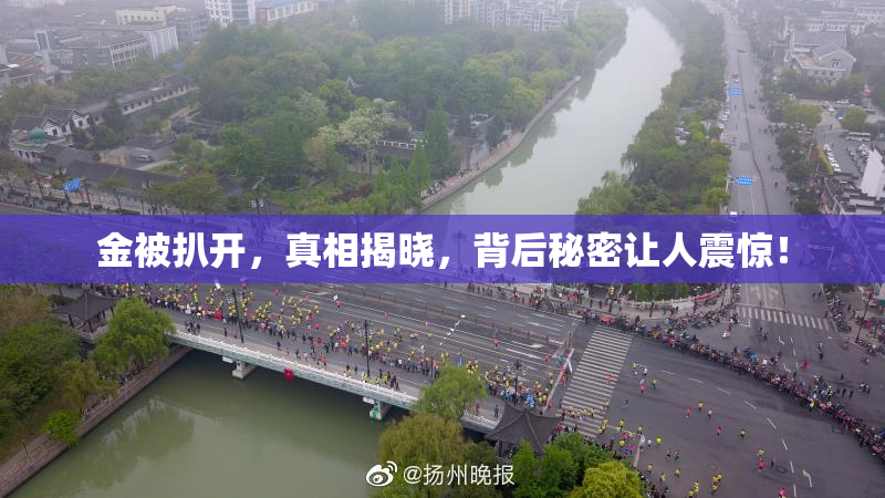 金被扒开，真相揭晓，背后秘密让人震惊！