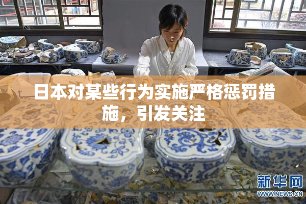 日本对某些行为实施严格惩罚措施，引发关注