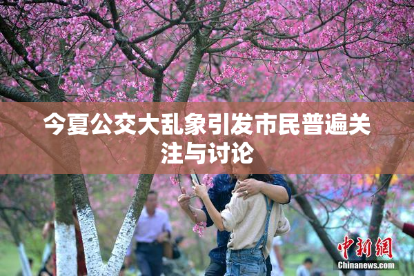 今夏公交大乱象引发市民普遍关注与讨论