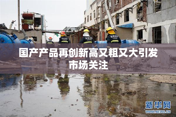 国产产品再创新高又粗又大引发市场关注