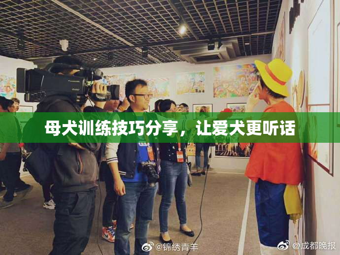 母犬训练技巧分享，让爱犬更听话