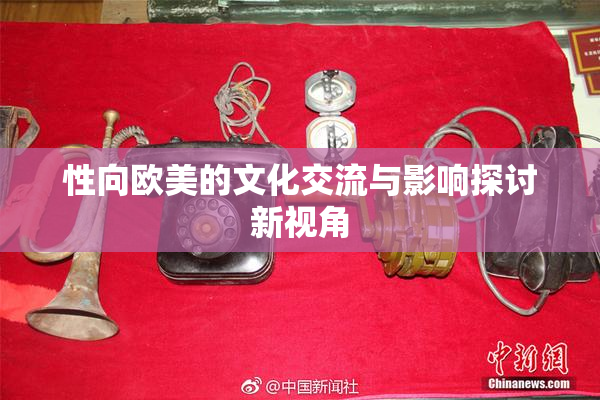 性向欧美的文化交流与影响探讨新视角