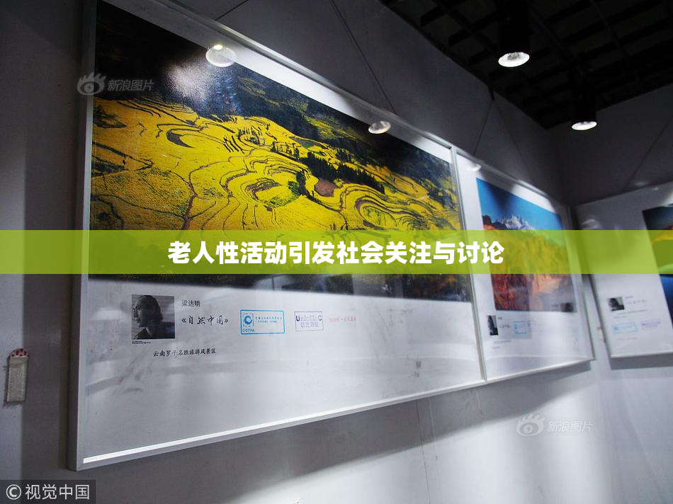 老人性活动引发社会关注与讨论