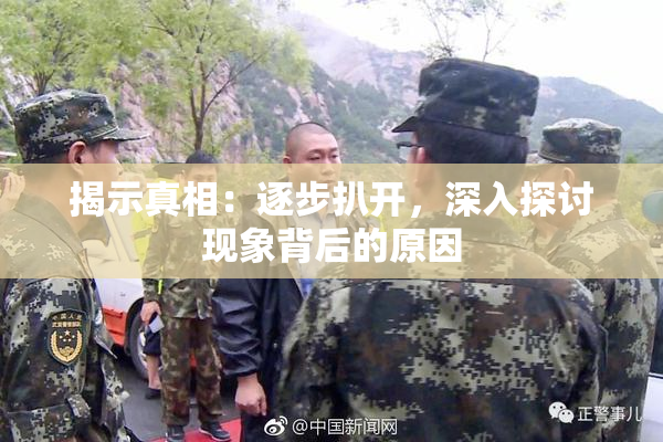 揭示真相：逐步扒开，深入探讨现象背后的原因