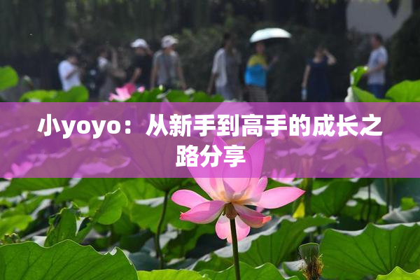 小yoyo：从新手到高手的成长之路分享