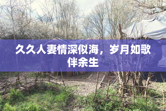 久久人妻情深似海，岁月如歌伴余生