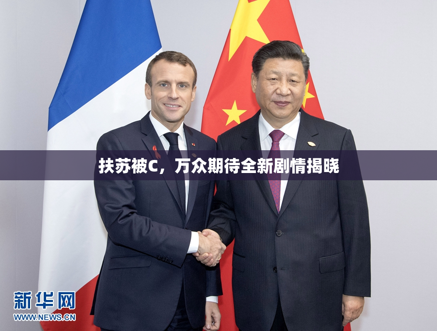 扶苏被C，万众期待全新剧情揭晓
