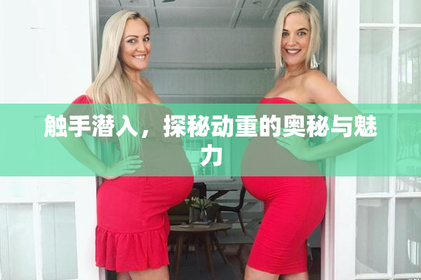 触手潜入，探秘动重的奥秘与魅力