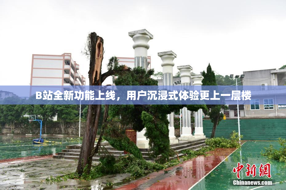 B站全新功能上线，用户沉浸式体验更上一层楼