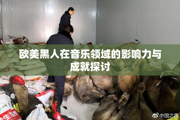 欧美黑人在音乐领域的影响力与成就探讨