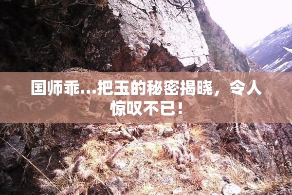 国师乖…把玉的秘密揭晓，令人惊叹不已！