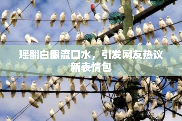 瑶翻白眼流口水，引发网友热议新表情包