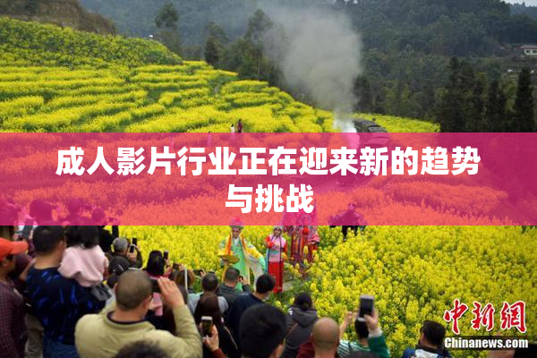 成人影片行业正在迎来新的趋势与挑战