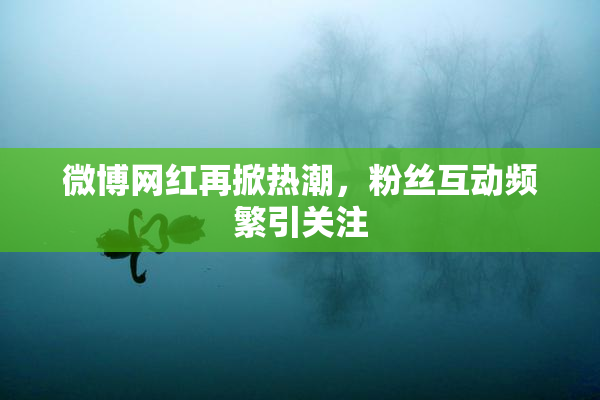 微博网红再掀热潮，粉丝互动频繁引关注