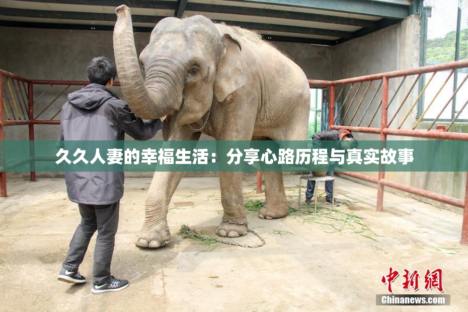 久久人妻的幸福生活：分享心路历程与真实故事