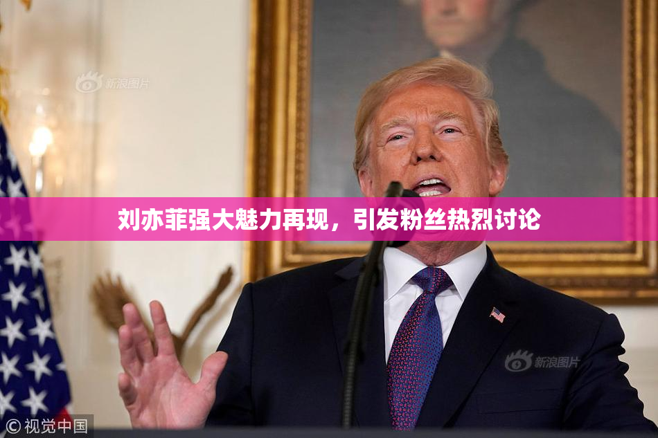 刘亦菲强大魅力再现，引发粉丝热烈讨论