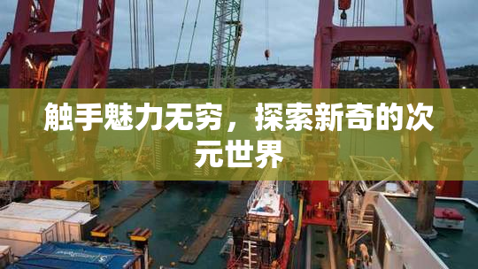 触手魅力无穷，探索新奇的次元世界